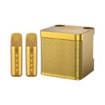 Ασύρματο ηχείο Bluetooth με 2 μικρόφωνα Karaoke - YS-203 - 887172 - Gold